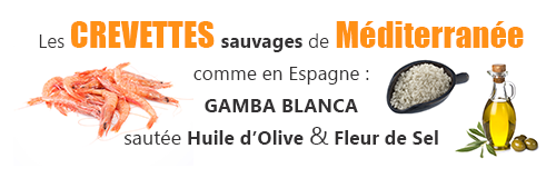 recette lefis gourmand de crevettes de mediterranee gambas blancas sautees huile olive vierge et fleur de sel comme en Espagne